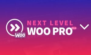 Download corso Next Level Woo PRO di Andrea Marchetti